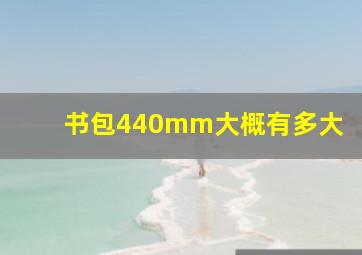 书包440mm大概有多大