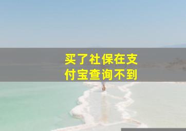 买了社保在支付宝查询不到