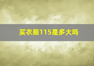 买衣服115是多大吗