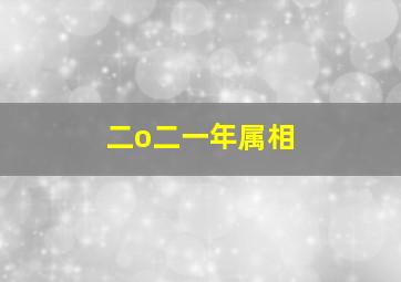 二o二一年属相