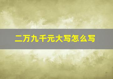 二万九千元大写怎么写