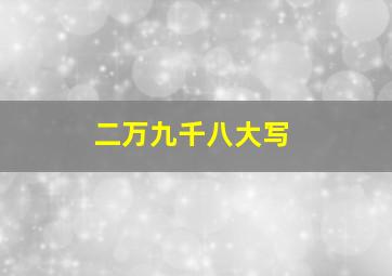 二万九千八大写