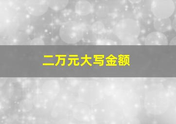 二万元大写金额