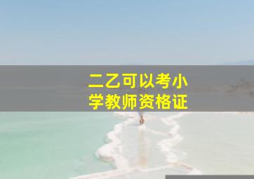 二乙可以考小学教师资格证