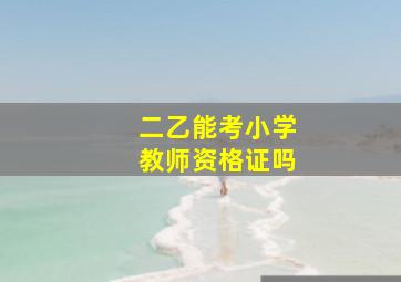 二乙能考小学教师资格证吗