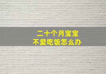 二十个月宝宝不爱吃饭怎么办