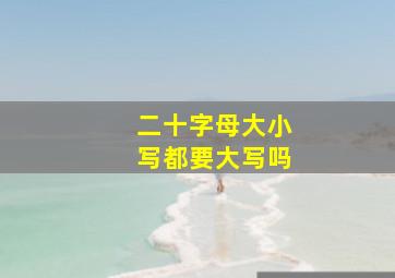 二十字母大小写都要大写吗