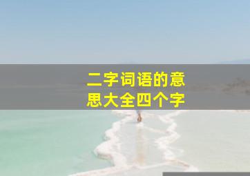 二字词语的意思大全四个字