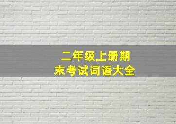 二年级上册期末考试词语大全