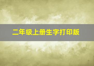 二年级上册生字打印版