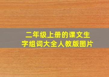 二年级上册的课文生字组词大全人教版图片