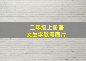 二年级上册语文生字默写图片