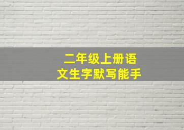 二年级上册语文生字默写能手