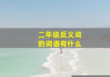 二年级反义词的词语有什么