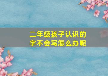 二年级孩子认识的字不会写怎么办呢