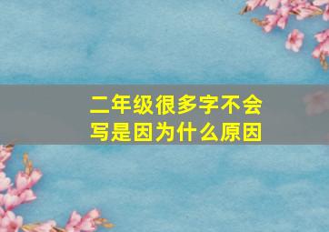 二年级很多字不会写是因为什么原因