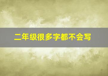 二年级很多字都不会写