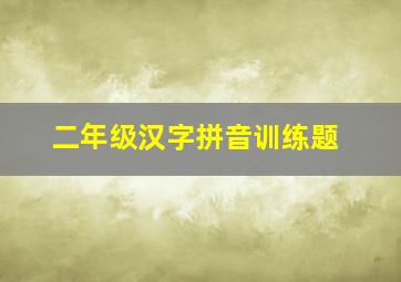 二年级汉字拼音训练题