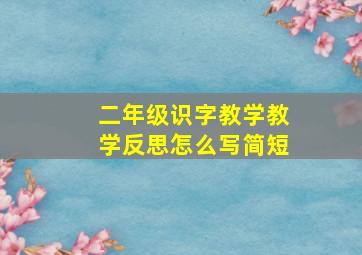 二年级识字教学教学反思怎么写简短