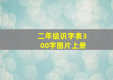 二年级识字表300字图片上册