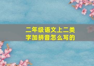 二年级语文上二类字加拼音怎么写的