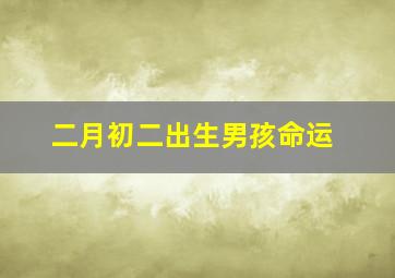 二月初二出生男孩命运