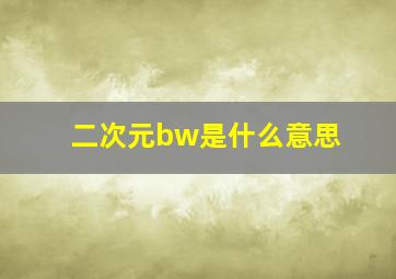 二次元bw是什么意思