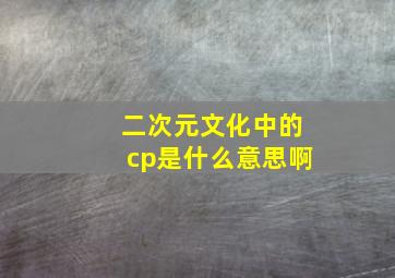 二次元文化中的cp是什么意思啊