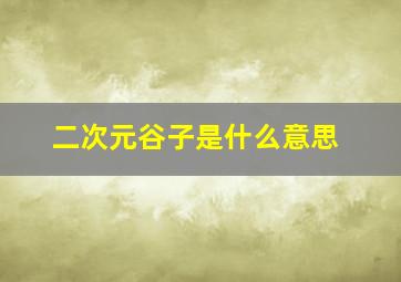 二次元谷子是什么意思