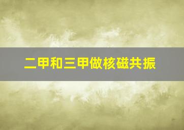 二甲和三甲做核磁共振