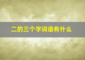 二的三个字词语有什么