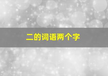 二的词语两个字