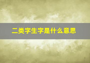 二类字生字是什么意思