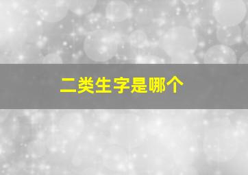 二类生字是哪个