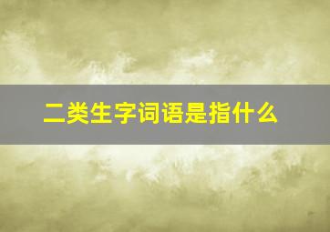 二类生字词语是指什么