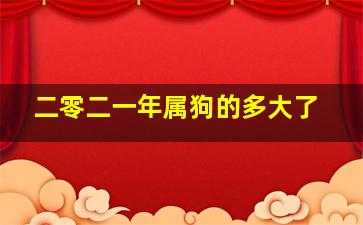 二零二一年属狗的多大了