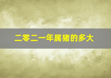 二零二一年属猪的多大