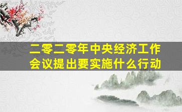 二零二零年中央经济工作会议提出要实施什么行动