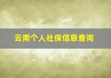 云南个人社保信息查询