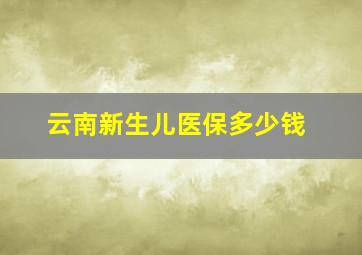 云南新生儿医保多少钱