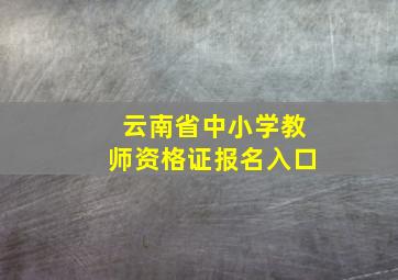 云南省中小学教师资格证报名入口