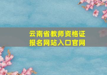 云南省教师资格证报名网站入口官网