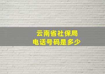 云南省社保局电话号码是多少