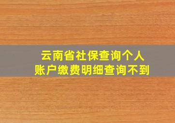 云南省社保查询个人账户缴费明细查询不到