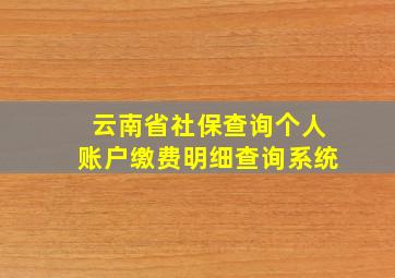 云南省社保查询个人账户缴费明细查询系统