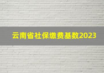 云南省社保缴费基数2023