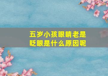 五岁小孩眼睛老是眨眼是什么原因呢