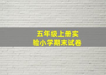 五年级上册实验小学期末试卷