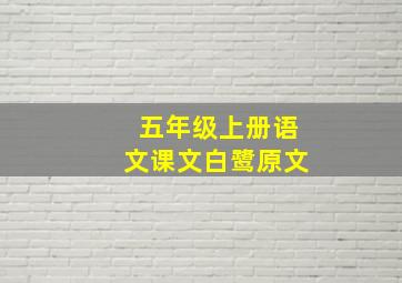 五年级上册语文课文白鹭原文