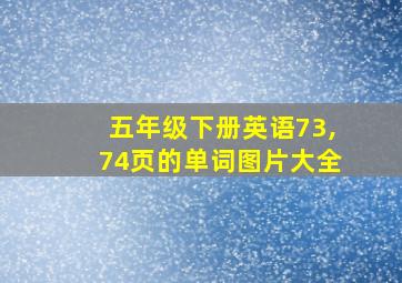 五年级下册英语73,74页的单词图片大全